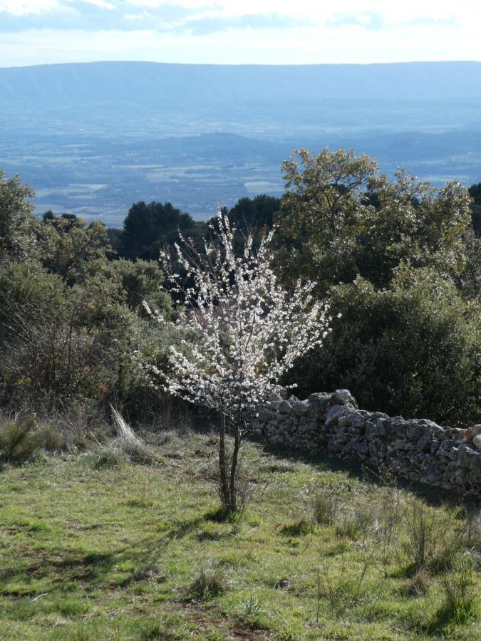 Le Jas Des Aiguiers Hotel Saint-Saturnin-les-Apt Luaran gambar