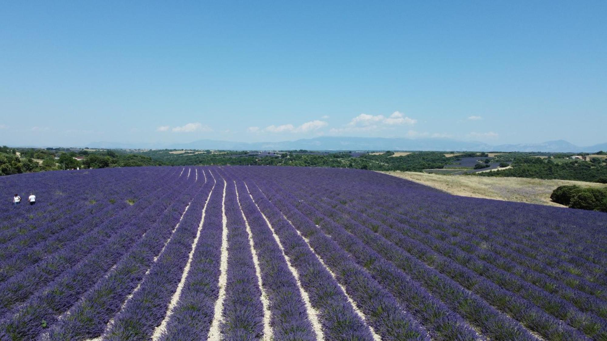 Le Jas Des Aiguiers Hotel Saint-Saturnin-les-Apt Luaran gambar